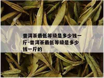 普洱茶更低等级是多少钱一斤-普洱茶更低等级是多少钱一斤的