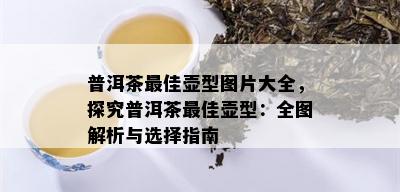 普洱茶更佳壶型图片大全，探究普洱茶更佳壶型：全图解析与选择指南