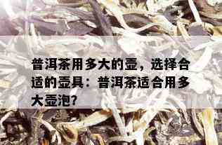 普洱茶用多大的壶，选择合适的壶具：普洱茶适合用多大壶泡？