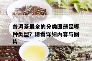 普洱茶最全的分类图册是哪种类型？请看详细内容与图片