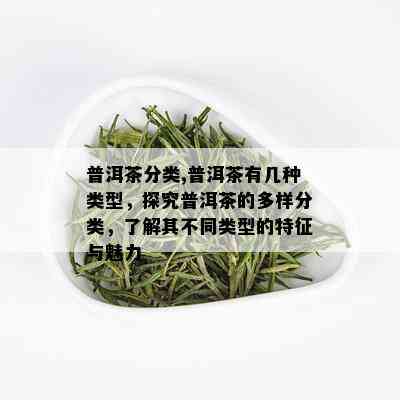 普洱茶分类,普洱茶有几种类型，探究普洱茶的多样分类，了解其不同类型的特征与魅力