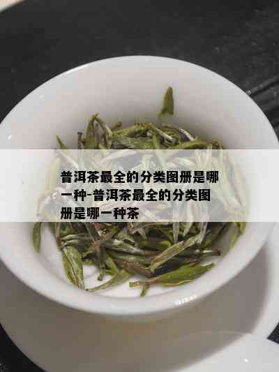 普洱茶最全的分类图册是哪一种-普洱茶最全的分类图册是哪一种茶