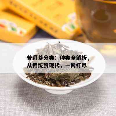 普洱茶分类：种类全解析，从传统到现代，一网打尽