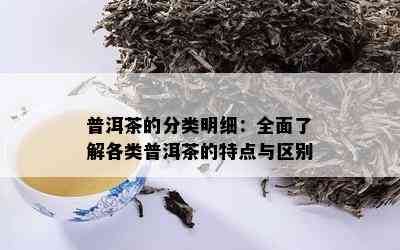 普洱茶的分类明细：全面了解各类普洱茶的特点与区别