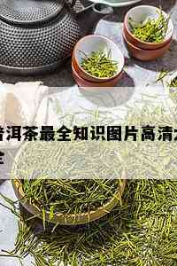 普洱茶最全知识图片高清大全