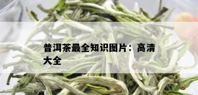 普洱茶最全知识图片：高清大全