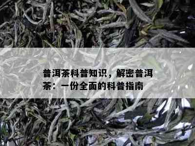 普洱茶科普知识，解密普洱茶：一份全面的科普指南