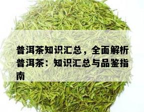 普洱茶知识汇总，全面解析普洱茶：知识汇总与品鉴指南