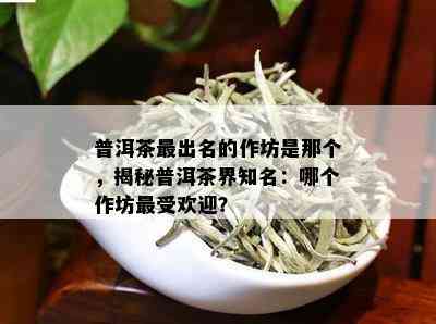 普洱茶最出名的作坊是那个，揭秘普洱茶界知名：哪个作坊更受欢迎？