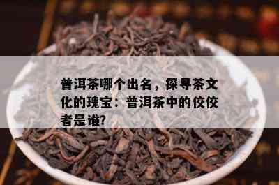 普洱茶哪个出名，探寻茶文化的瑰宝：普洱茶中的佼佼者是谁？