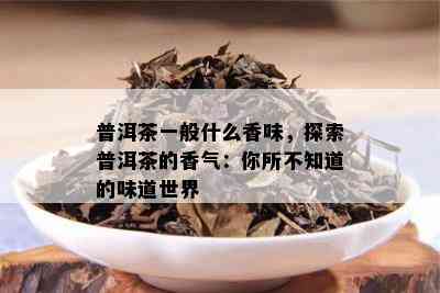 普洱茶一般什么香味，探索普洱茶的香气：你所不知道的味道世界