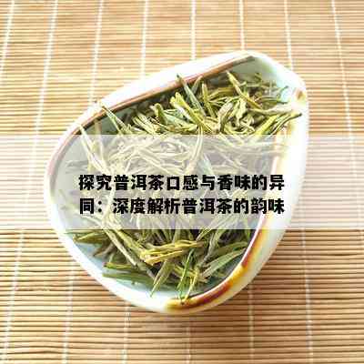 探究普洱茶口感与香味的异同：深度解析普洱茶的韵味