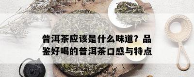 普洱茶应该是什么味道？品鉴好喝的普洱茶口感与特点