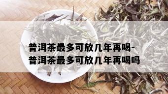 普洱茶最多可放几年再喝-普洱茶最多可放几年再喝吗