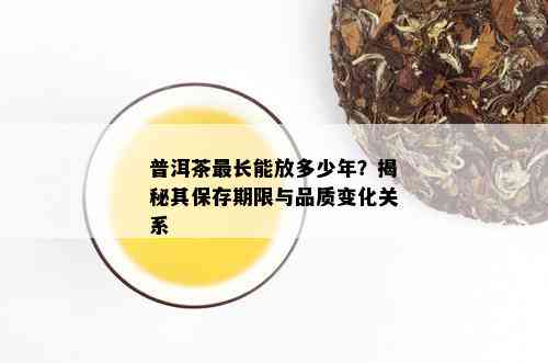 普洱茶最长能放多少年？揭秘其保存期限与品质变化关系