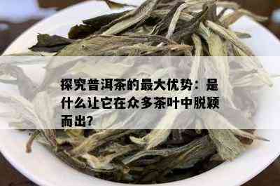 探究普洱茶的更大优势：是什么让它在众多茶叶中脱颖而出？