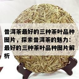 普洱茶更好的三种茶叶品种图片，探索普洱茶的魅力：更好的三种茶叶品种图片解析