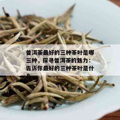 普洱茶更好的三种茶叶是哪三种，探寻普洱茶的魅力：告诉你更好的三种茶叶是什么