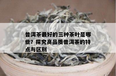 普洱茶更好的三种茶叶是哪些？探究高品质普洱茶的特点与区别