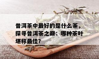 普洱茶中更好的是什么茶，探寻普洱茶之巅：哪种茶叶堪称更佳？