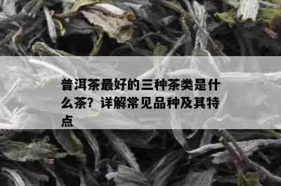 普洱茶更好的三种茶类是什么茶？详解常见品种及其特点