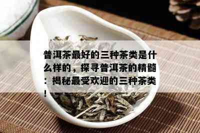 普洱茶更好的三种茶类是什么样的，探寻普洱茶的精髓：揭秘更受欢迎的三种茶类！