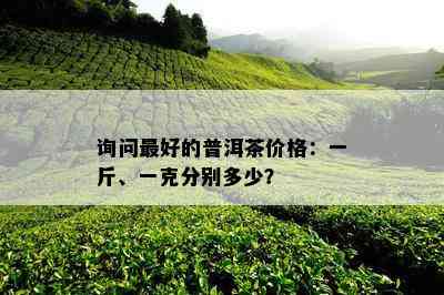 询问更好的普洱茶价格：一斤、一克分别多少？