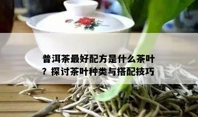 普洱茶更好配方是什么茶叶？探讨茶叶种类与搭配技巧