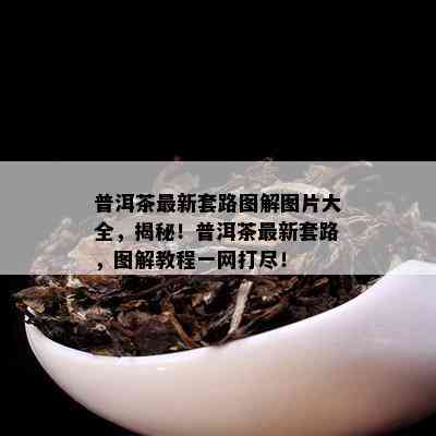 普洱茶最新套路图解图片大全，揭秘！普洱茶最新套路，图解教程一网打尽！