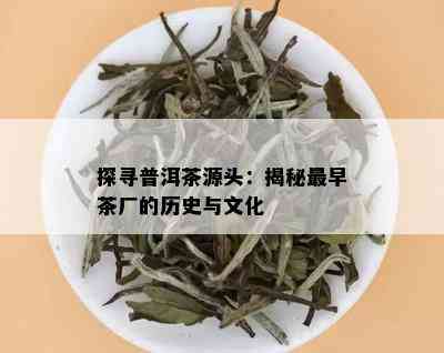 探寻普洱茶源头：揭秘最早茶厂的历史与文化