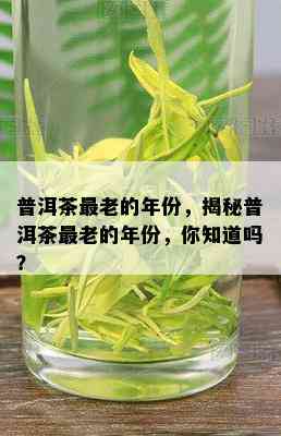 普洱茶最老的年份，揭秘普洱茶最老的年份，你知道吗？