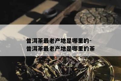 普洱茶最老产地是哪里的-普洱茶最老产地是哪里的茶