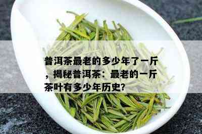 普洱茶最老的多少年了一斤，揭秘普洱茶：最老的一斤茶叶有多少年历史？