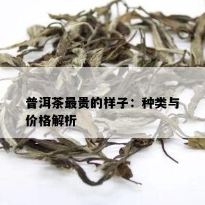 普洱茶最贵的样子：种类与价格解析