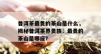 普洱茶最贵的茶山是什么，揭秘普洱茶界贵族：最贵的茶山是哪座？