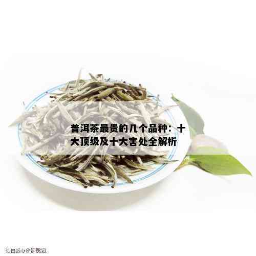 普洱茶最贵的几个品种：十大顶级及十大害处全解析