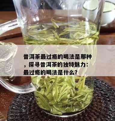 普洱茶最过瘾的喝法是那种，探寻普洱茶的独特魅力：最过瘾的喝法是什么？