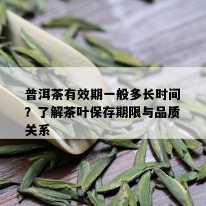 普洱茶有效期一般多长时间？了解茶叶保存期限与品质关系