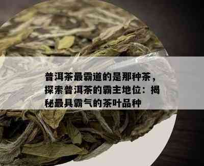 普洱茶最霸道的是那种茶，探索普洱茶的霸主地位：揭秘更具霸气的茶叶品种