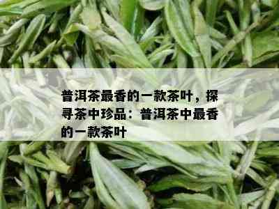 普洱茶最香的一款茶叶，探寻茶中珍品：普洱茶中最香的一款茶叶