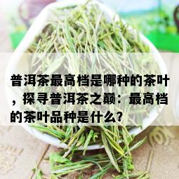 普洱茶更高档是哪种的茶叶，探寻普洱茶之巅：更高档的茶叶品种是什么？