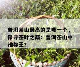 普洱茶山更高的是哪一个，探寻茶叶之巅：普洱茶山中谁称王？