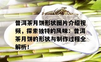 普洱茶月饼形状图片介绍视频，探索独特的风味：普洱茶月饼的形状与制作过程全解析！