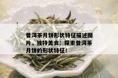 普洱茶月饼形状特征描述图片，独特美食：探索普洱茶月饼的形状特征！