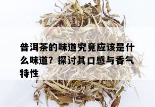 普洱茶的味道究竟应该是什么味道？探讨其口感与香气特性