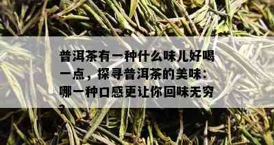 普洱茶有一种什么味儿好喝一点，探寻普洱茶的美味：哪一种口感更让你回味无穷？