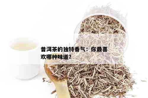 普洱茶的独特香气：你最喜欢哪种味道？