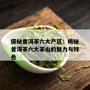 探秘普洱茶六大产区：揭秘普洱茶六大茶山的魅力与特色