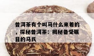 普洱茶有个叫马什么来着的，探秘普洱茶：揭秘备受瞩目的马氏