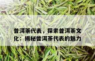 普洱茶代表，探索普洱茶文化：揭秘普洱茶代表的魅力